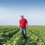 Carlos Eduardo Moraes Nunes