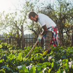 Diante dos impactos das mudanças climáticas, João Eustáquio De Almeida Junior analisa como a agricultura vem se adaptando aos novos desafios ambientais.