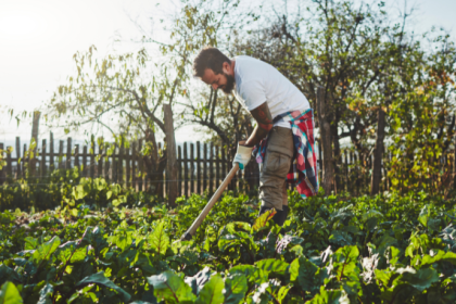 Diante dos impactos das mudanças climáticas, João Eustáquio De Almeida Junior analisa como a agricultura vem se adaptando aos novos desafios ambientais.